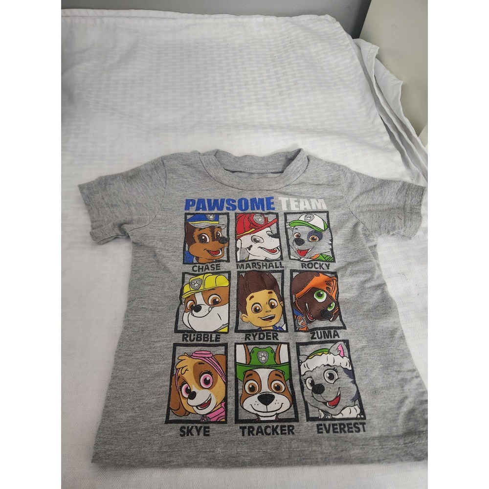 Nickelodeon Paw Patrol Pawsome Team Gray Graphic T-Shirt 12M Kids